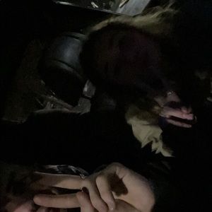 Meet your Posher, Jonah